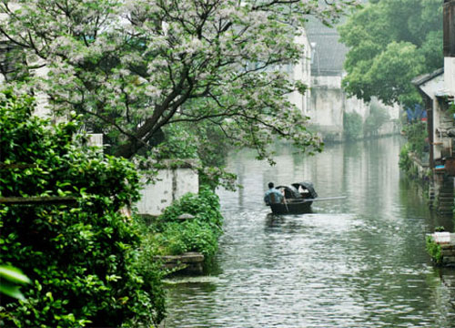 浙江绍兴：摇曳的乌篷船