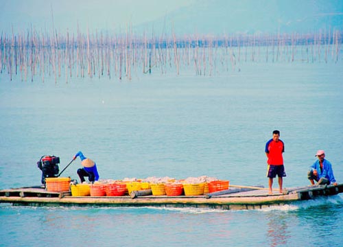 福建霞浦沙江：美丽的海岸渔村