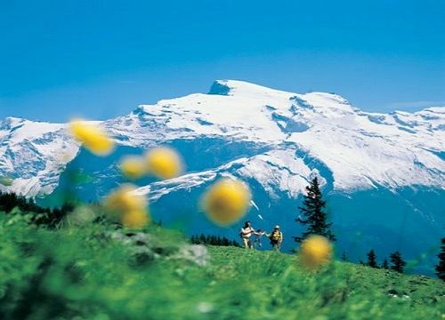 瑞士铁力士山：一峰观览四季之景