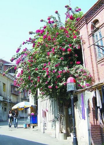 厦门美食地图：走街串巷 厦门美食发现之旅