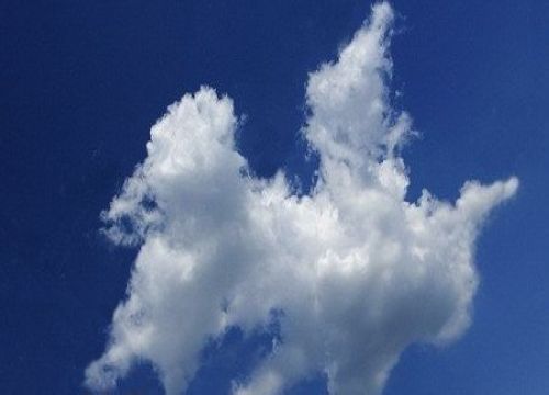 神奇！奇形怪状的云朵