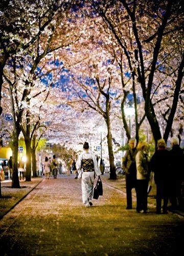 日本东京增上寺 求子圣地