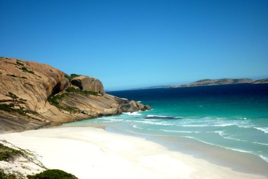 南澳袋鼠岛 陶醉在动物与自然的天堂