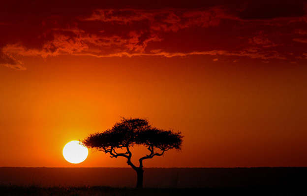 观赏落日最佳地：马赛马拉国家保护区 肯尼亚