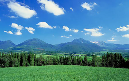 三大锦囊教你游日本 花最少钱逛最美景