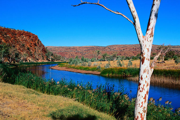 自驾游 在澳洲寻找世界上最古老的河流芬克河