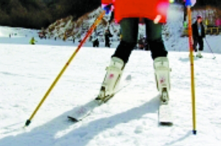 滑雪器材鱼龙混杂 享受乐趣避免乐极生悲