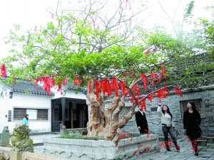 出游贴士：报团旅游要细签合同
