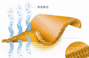 三招选出好背包
