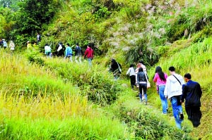 旅游爬山小贴士：运动登高 莫忘护膝