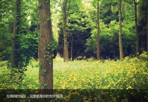 北京国际汽车露营公园