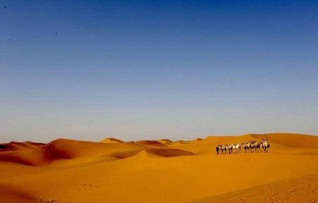 有多远走多远 国内最值得去的沙漠旅游地-宁夏沙坡头