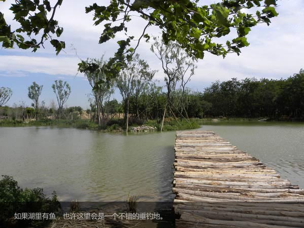北京国际汽车露营公园美景