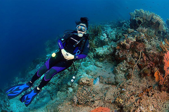 看神奇海洋生物 印尼龙目岛写意潜水