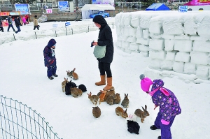 北京冰雪狂欢新装上阵 冬季引入新主题