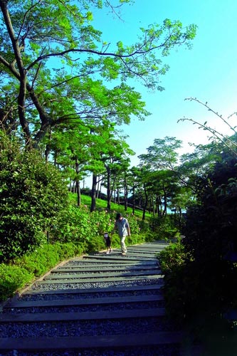 到济州岛旅游-韩国本地人的生活