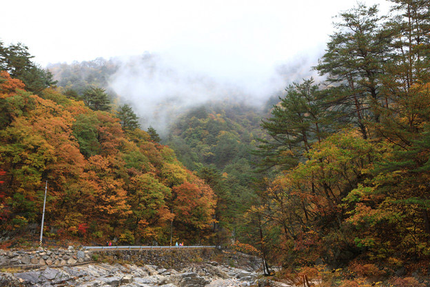 秋冬季韩国登山好去处