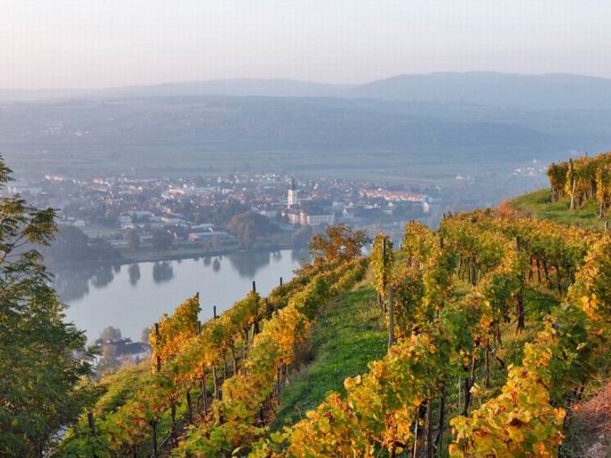 多瑙河 梅恩河 莱茵河 摩泽尔河 塞纳河—欧洲景色最美的五条河道 寻酿酒城镇
