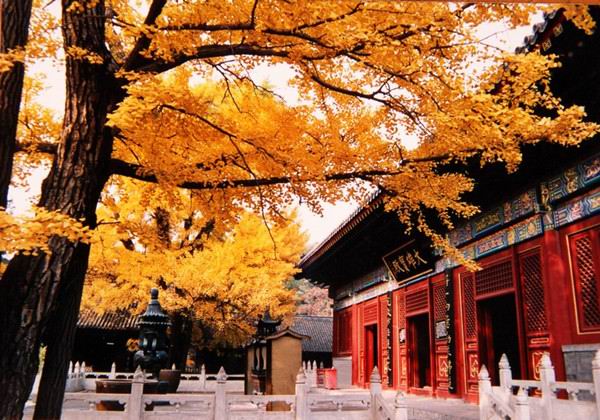 京郊一抹红：红螺山红螺寺赏红叶攻略推荐