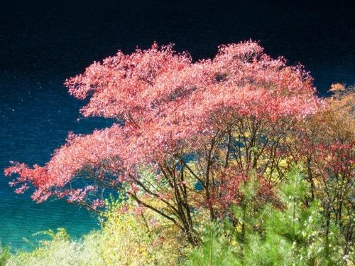 中秋佳节去哪里旅游好？适合中秋节旅游的地方