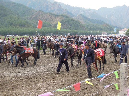 天祝赛马会