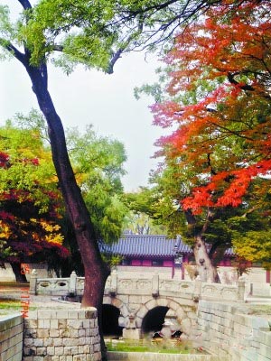 韩国赏枫推荐地：雪岳山、五台山