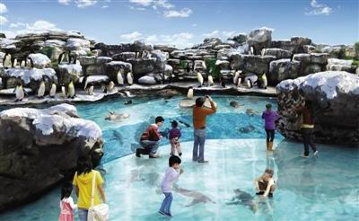 香港开启极地之旅 亚洲首个南北极动物馆
