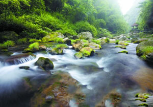 三峡人家 说不尽的土家风情