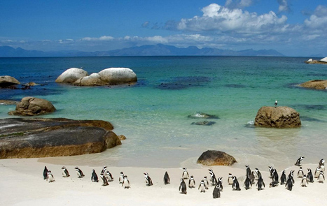 南非共和国的保达斯海滩旅游攻略