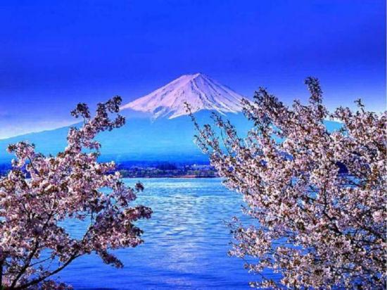 日本静冈有哪些旅游景点？