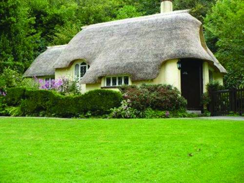 去英国寻找“老房子” 茅草屋是英国国宝