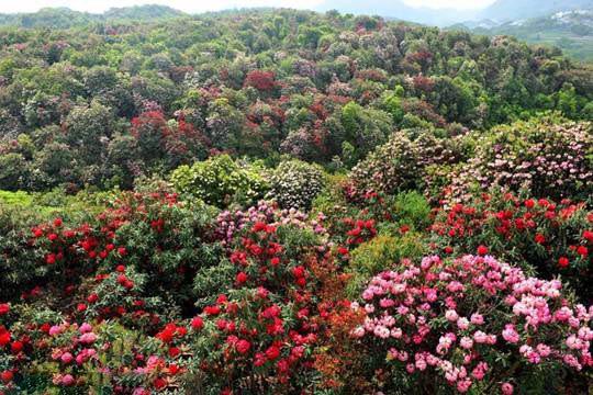 “凉都”毕节市