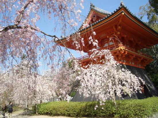 日本大阪最佳旅游季节