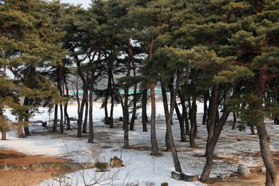 安东衡湖 韩国传统文化精髓之地