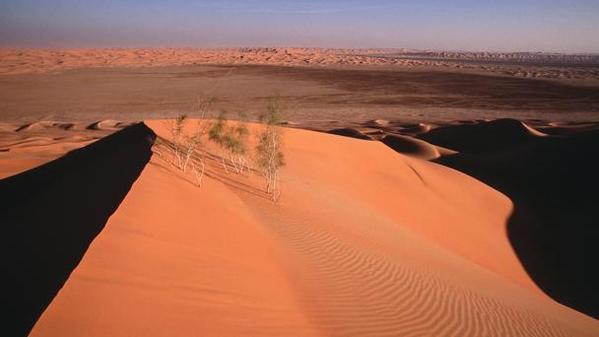 到沙特旅游：世界上最大的沙海空白之地