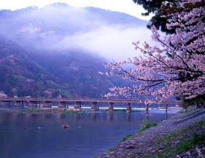 日本静冈县一年四季的天气怎么样