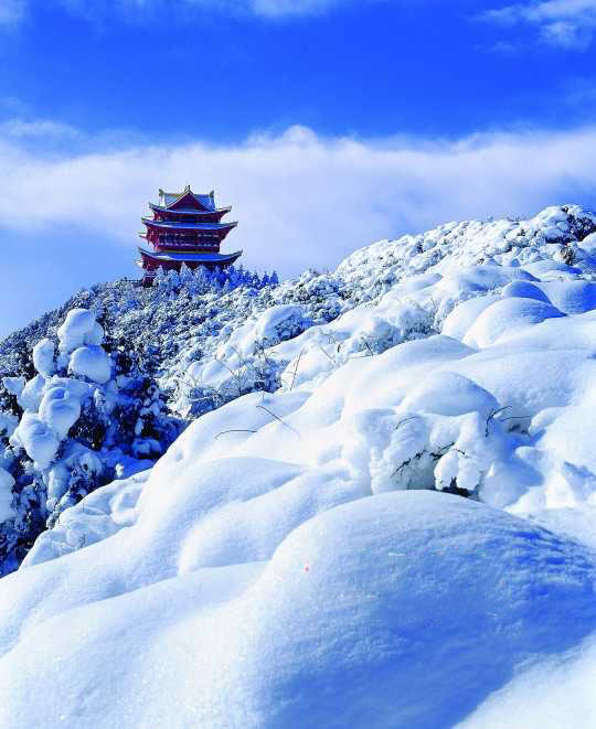 <p> 金顶披雪。</p>