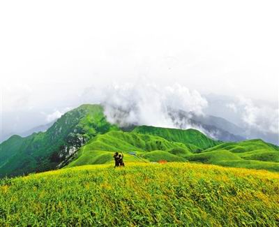 阳明山国家森林公园