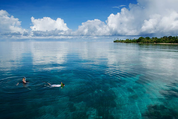 “潜入”印尼瓦卡托比纯净大海 享清凉一夏