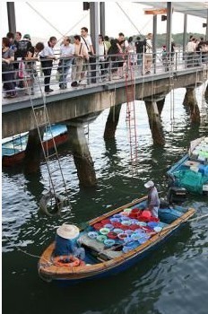 秋高气爽 香港野营绝佳露营地推荐