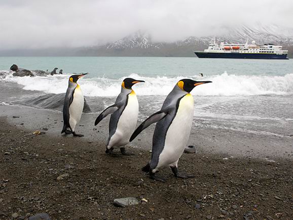 南极洲-适合冬季去玩的国外旅游地
