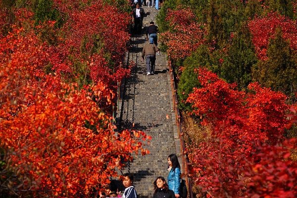 京郊一抹红：红螺山红螺寺赏红叶攻略推荐