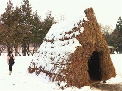 冬游韩国 甩腿滑雪放手血拼