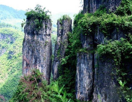 到乌龙山旅游提示