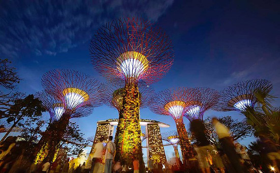 新加坡 滨海林荫道 海湾花园