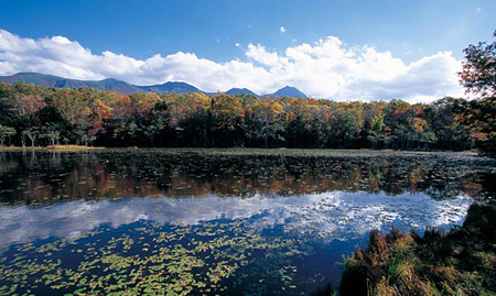 世界自然遗产知床本岛  冬天的北海道