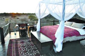 南非Lion Sands酒店：丛林与兽同眠 感受野性的魅力