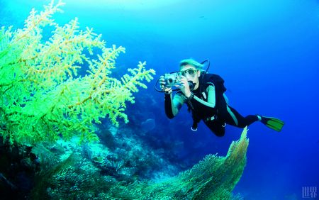 澳大利亚大堡礁科考 了解珊瑚的秘密