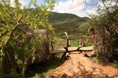 到肯尼亚旅游-灵威西度假小屋