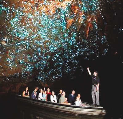 洞穴里的璀璨星空 新西兰怀托摩萤火虫洞